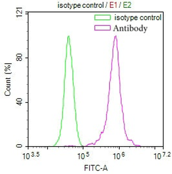 PRDX3 Antibody