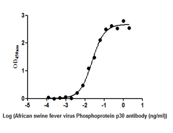 African swine fever virus Phosphoprotein p30 Antibody