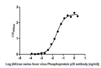 African swine fever virus Phosphoprotein p30 Antibody