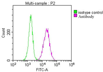 PPA1 Antibody