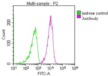 PPA1 Antibody