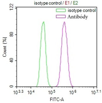 MBTPS1 Antibody