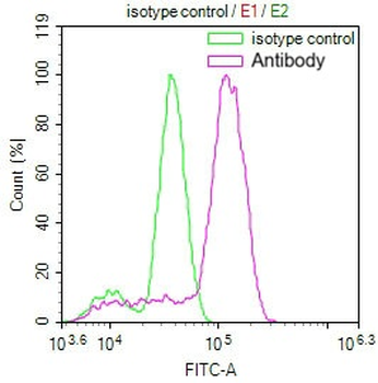 MERTNL Antibody