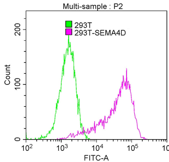 SEMA4D Antibody