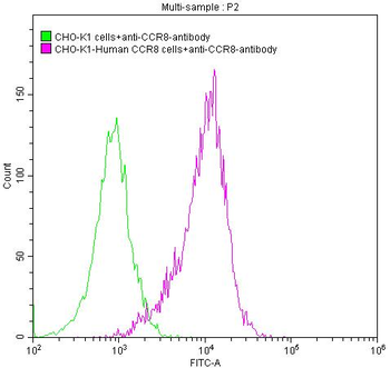 CCR8 Antibody