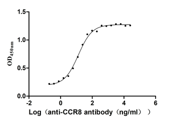 CCR8 Antibody