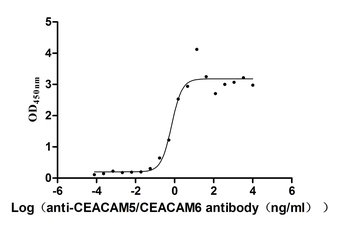 CEACAM5/CEACAM6 Antibody