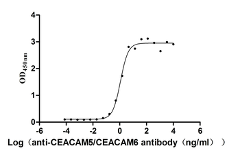 CEACAM5/CEACAM6 Antibody