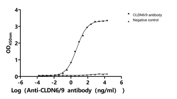 CLDN6/9 Antibody