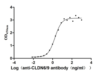 CLDN6/9 Antibody