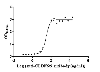 CLDN6/9 Antibody