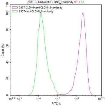 CLDN6/9 Antibody