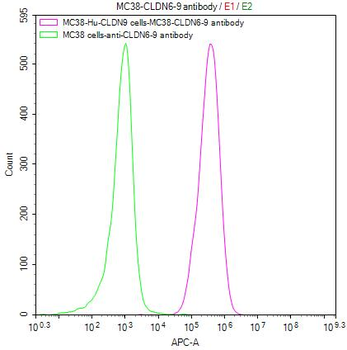 CLDN6/9 Antibody