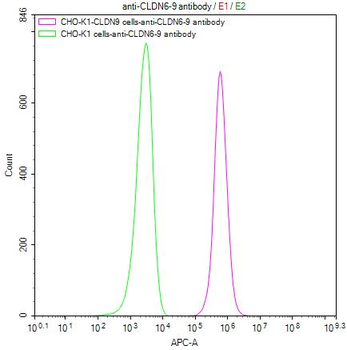 CLDN6/9 Antibody