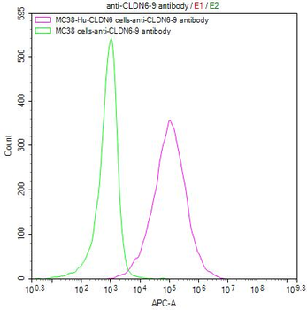 CLDN6/9 Antibody