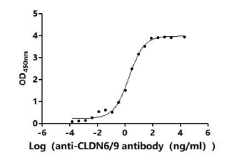 CLDN6/9 Antibody