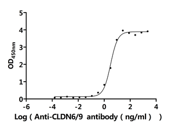 CLDN6/9 Antibody