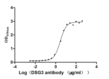 DSG3 Antibody