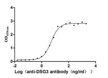 DSG3 Antibody