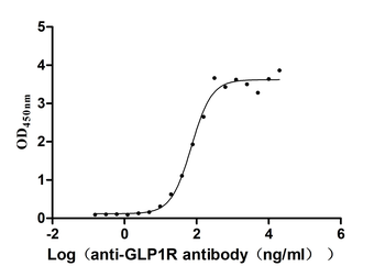 GLP1R Antibody