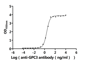 GPC3 Antibody