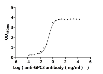 GPC3 Antibody