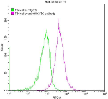 GUCY2C Antibody