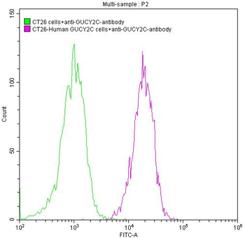 GUCY2C Antibody