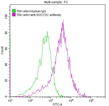 GUCY2C Antibody