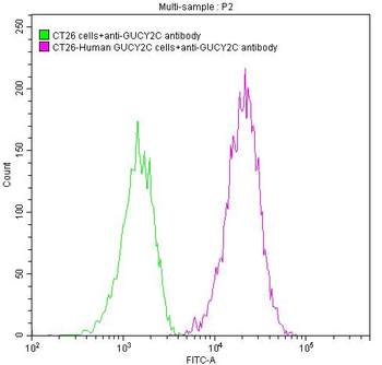 GUCY2C Antibody