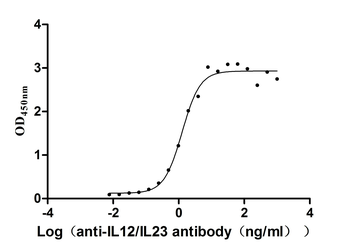 IL12&IL23 Antibody