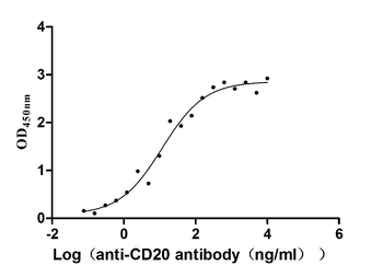 MS4A1 Antibody