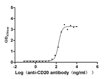 MS4A1 Antibody