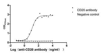 MS4A1 Antibody
