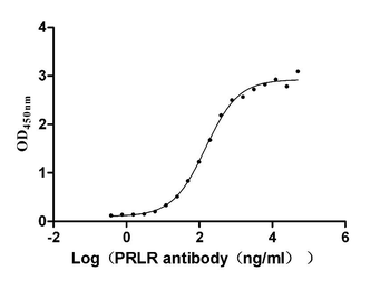 PRLR Antibody
