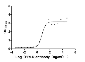 PRLR Antibody