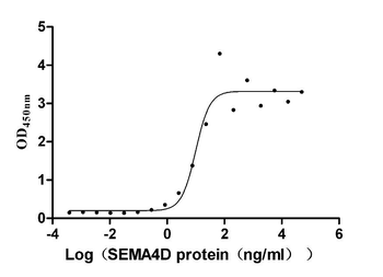 SEMA4D Antibody