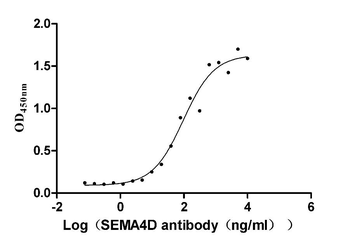 SEMA4D Antibody