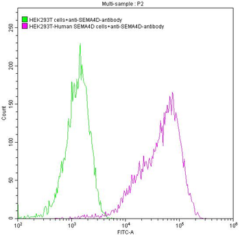 SEMA4D Antibody