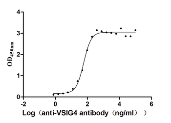 VSIG4 Antibody