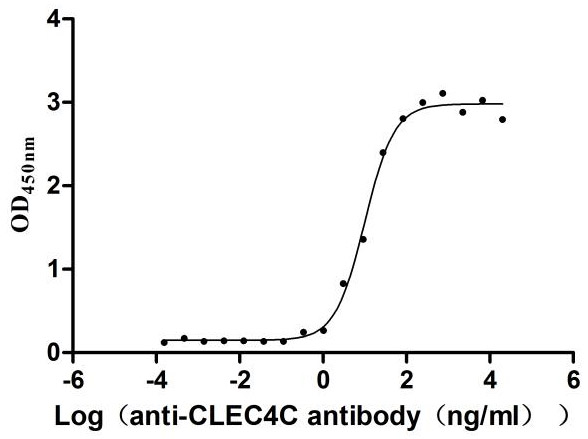 Recombinant Human C-type lectin domain family 4 member C (CLEC4C), partial (Active)