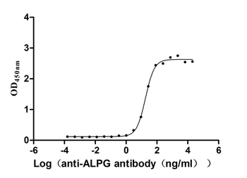 ALPG Antibody