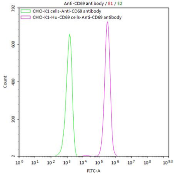 CD69 Antibody