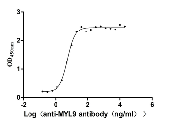 MYL9 Antibody