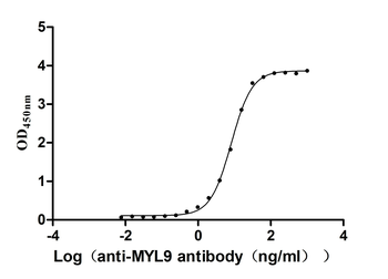 MYL9 Antibody