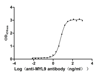 MYL9 Antibody