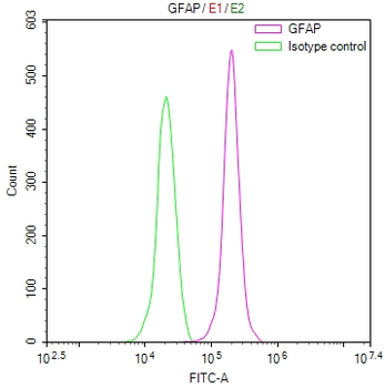 GFAP Antibody