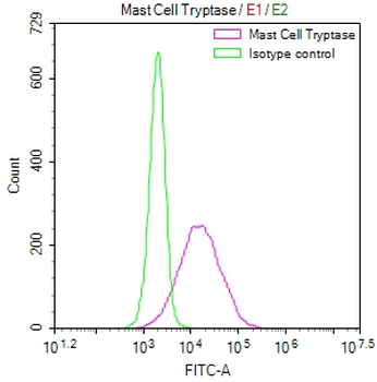 TPSB2 Antibody