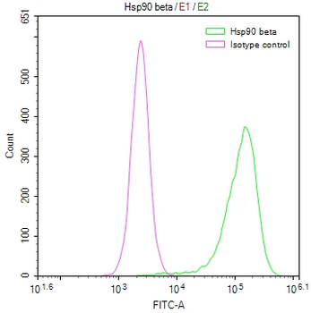 HSP90AB1 Antibody