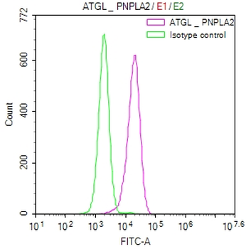 PNPLA2 Antibody